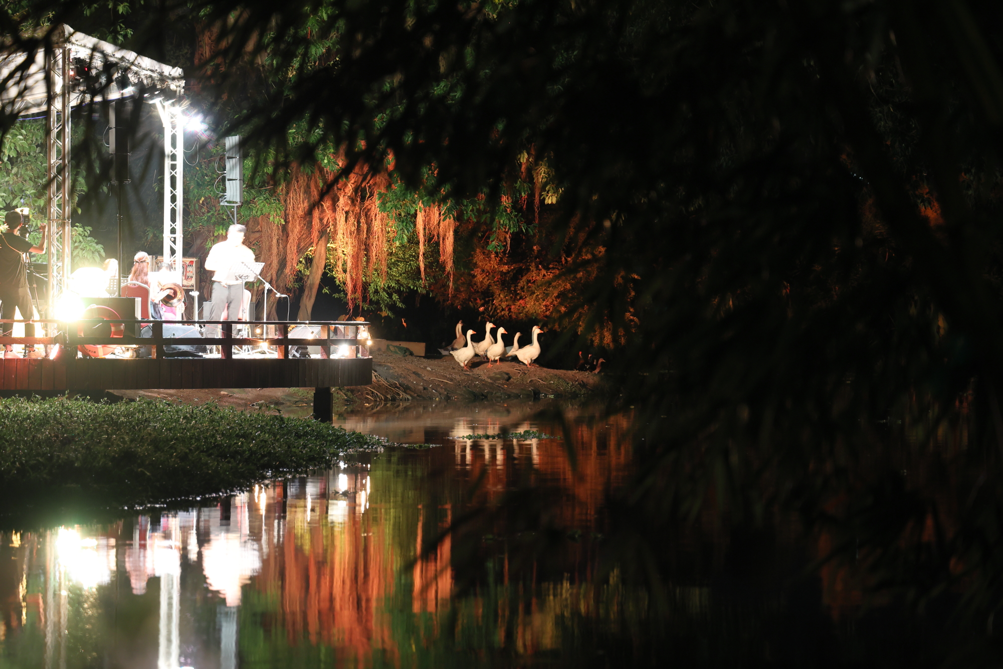 秋—日之餘 三秀園水上音樂會